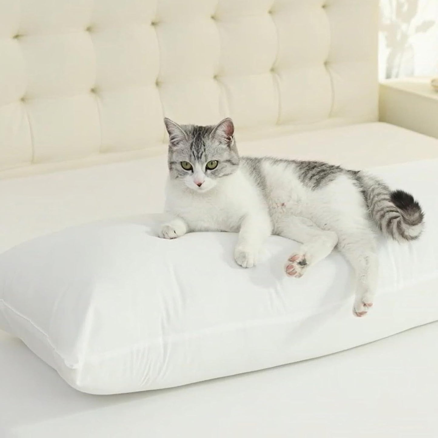 Cotton Body Pillow Insert - Cooling Breathable Full Body Pillow for Side Sleeper - Soft Long Bed Pillow for Adults - 20 x 54 inch-White