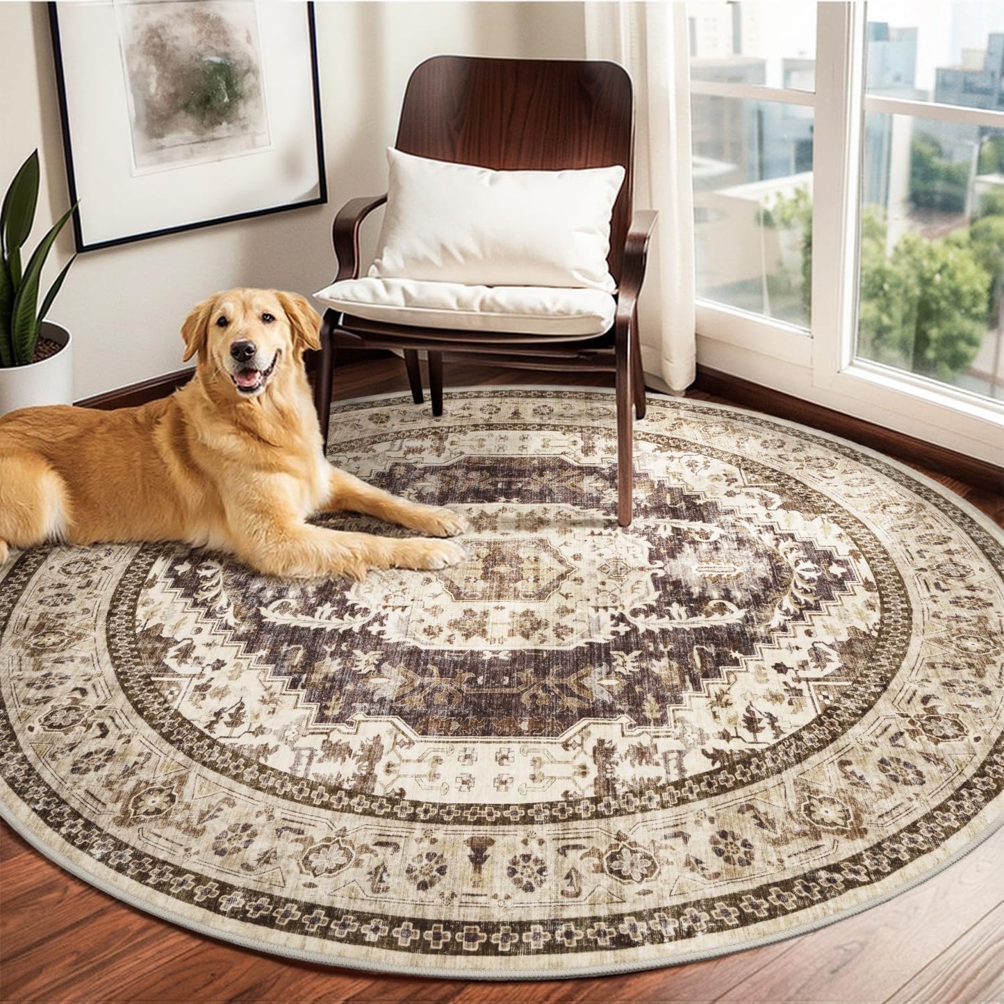 Brown Washable 5x7 Area Rugs for Living Room Rug Bedroom Rug-Carpet Neutral Moody Vintage Traditional Dining Room Rugs Office Soft Comfortable Non Slip